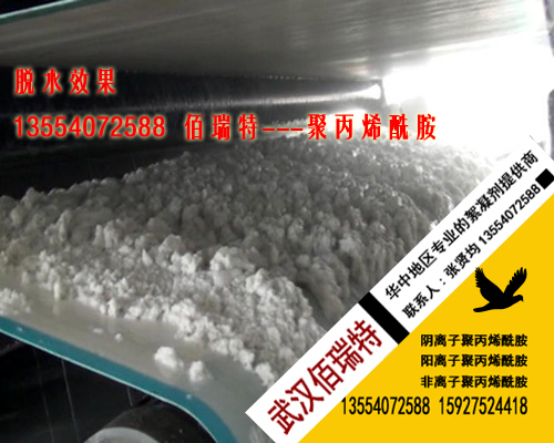 聚丙烯酰胺--化工污泥脱带式压滤机滤水效果