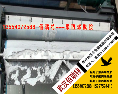 聚丙烯酰胺--化工污泥脱带式压滤机脱水效果