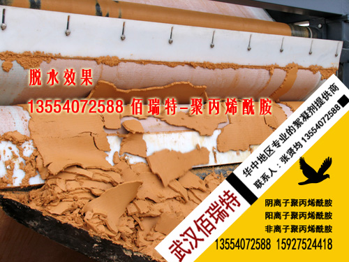 聚丙烯酰胺铁矿污泥脱水效果