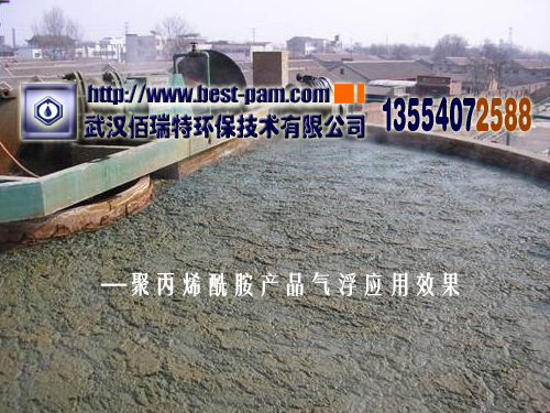 聚丙烯酰胺---养殖厂废水气浮效果