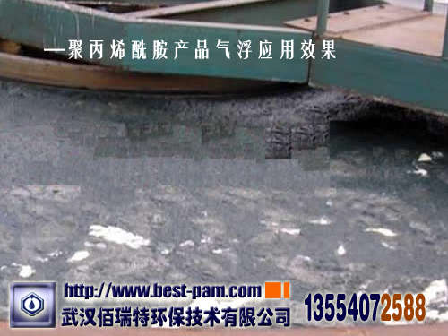聚丙烯酰胺-屠宰厂废水气浮效果