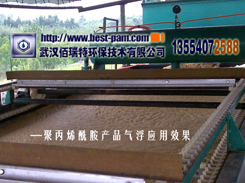 聚丙烯酰胺---饲料厂废水气浮效果