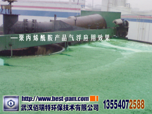 聚丙烯酰胺-卫生纸厂废水气浮效果