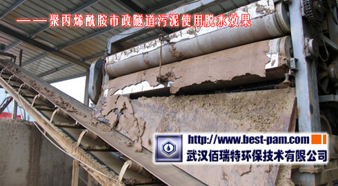 聚丙烯酰胺市政隧道污泥脱水效果